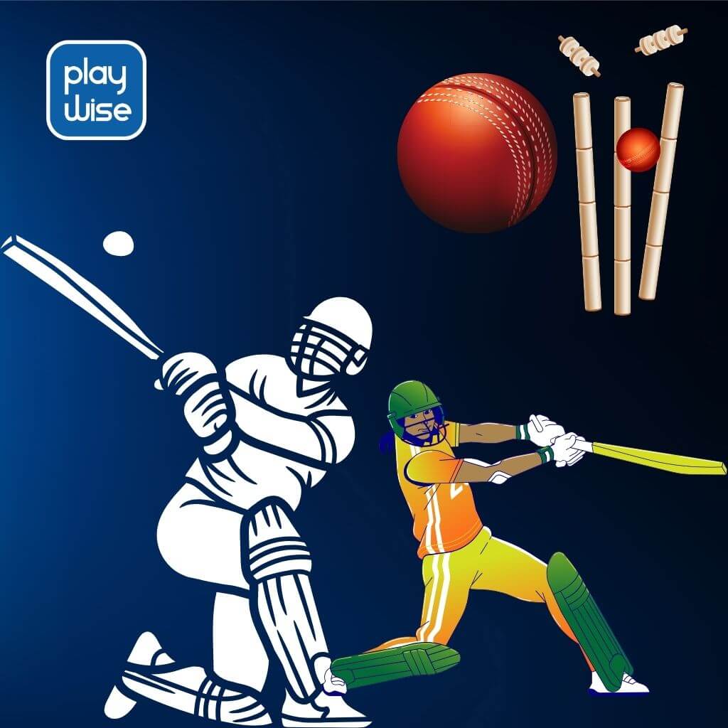 PlayWise365 cricket betting promo banner